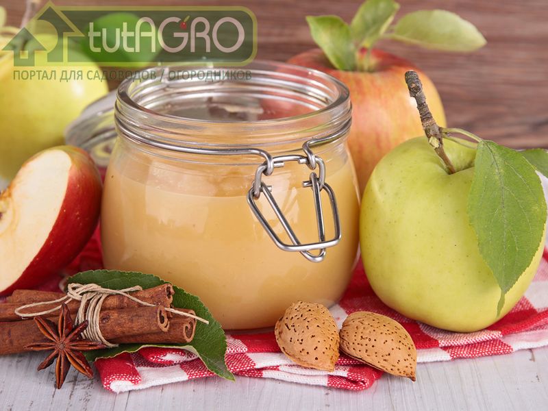Яблочное пюре - AGROzen