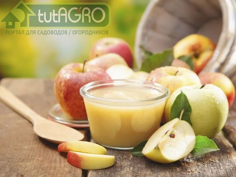 Яблочное пюре с ревенем - AGROzen