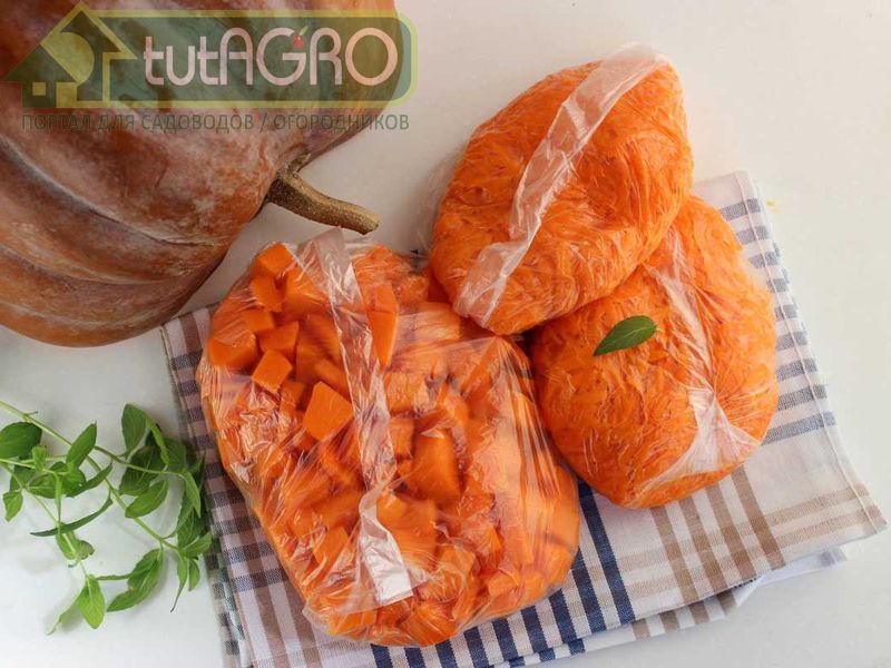 Плоды к моменту уборки должны быть полностью вызревшими - AGROzen