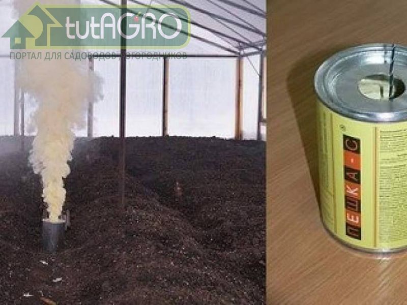 Наиболее эффективно использовать серную шашку - AGROzen