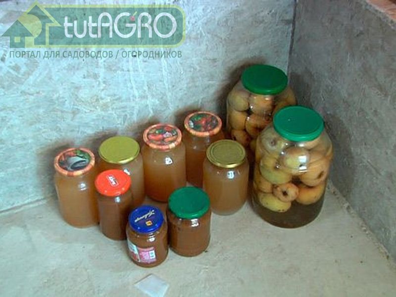 Капусту, яблоки, груши при использовании шашки необходимо вынести из хранилища - AGROzen