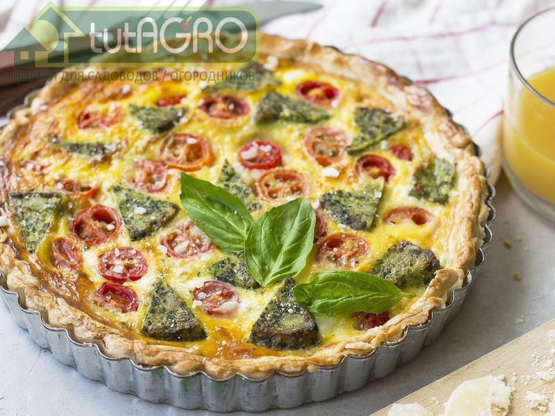 Открытые пироги - AGROzen