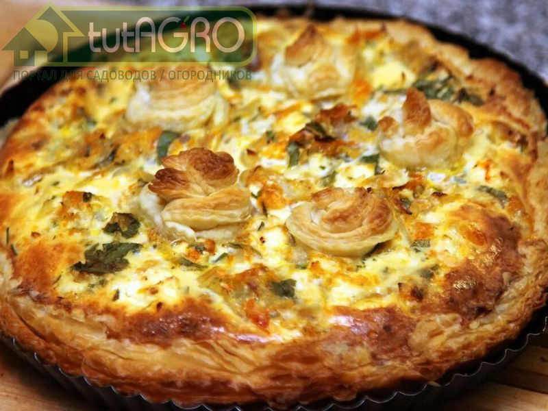 Пирог с луком - AGROzen