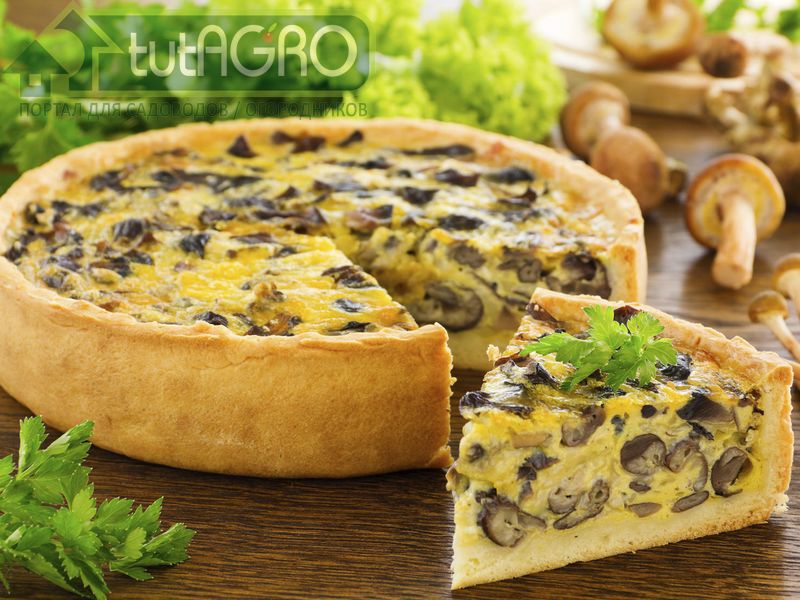 Пирог «Праздничный» - AGROzen