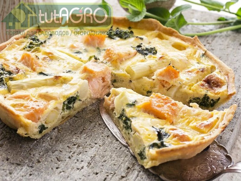 Рыбный пирог - AGROzen