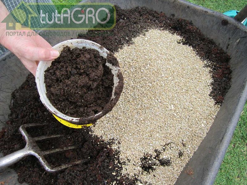 Земля с огорода очень разная по своему составу - AGROzen