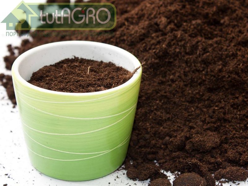 Время готовить грунт для рассады. Советы Ивана Русских - AGROzen