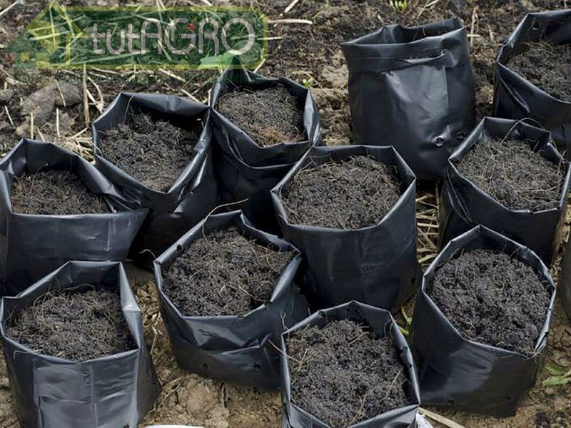 Огородный грунт - источник семян сорных растений - AGROzen