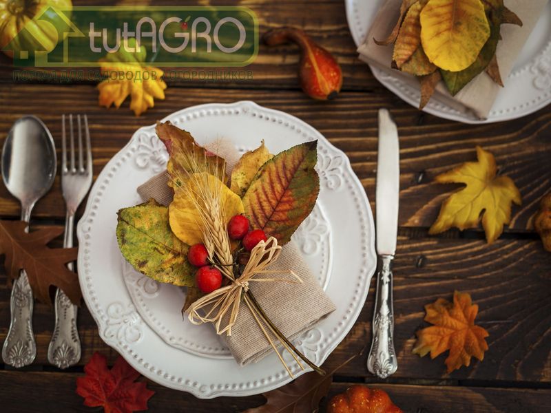 Рецепты ноября - AGROzen