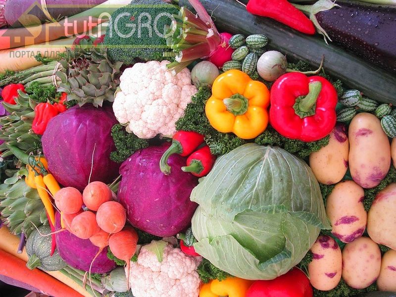 Биолог Иван Русских знает как сохранить урожай - AGROzen