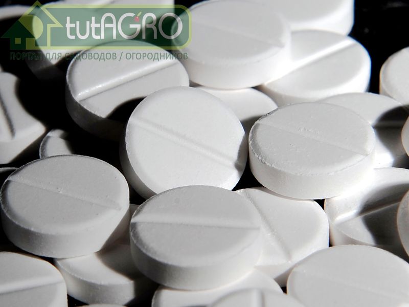 Таблетки для защиты сада - AGROzen