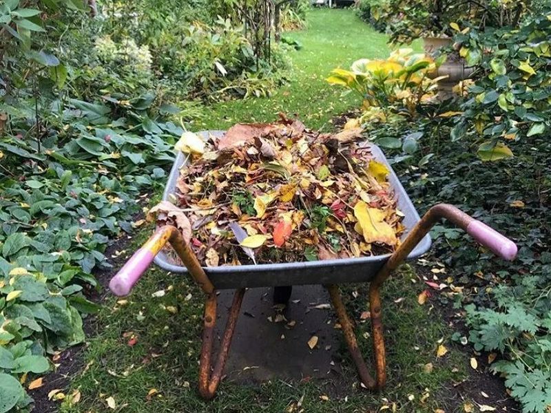 Превращайте отходы в ценную мульчу - AGROzen