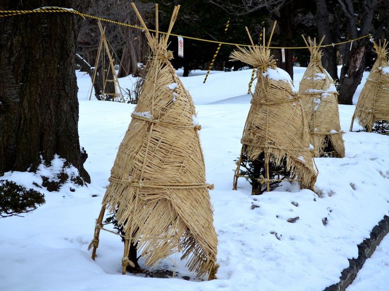 Вредители в укрытии - AGROzen