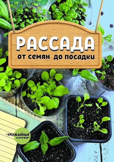 Рассада. От семян до посадки