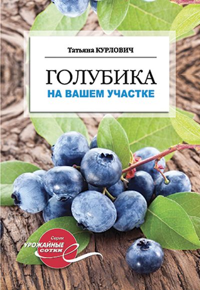Голубика на вашем участке